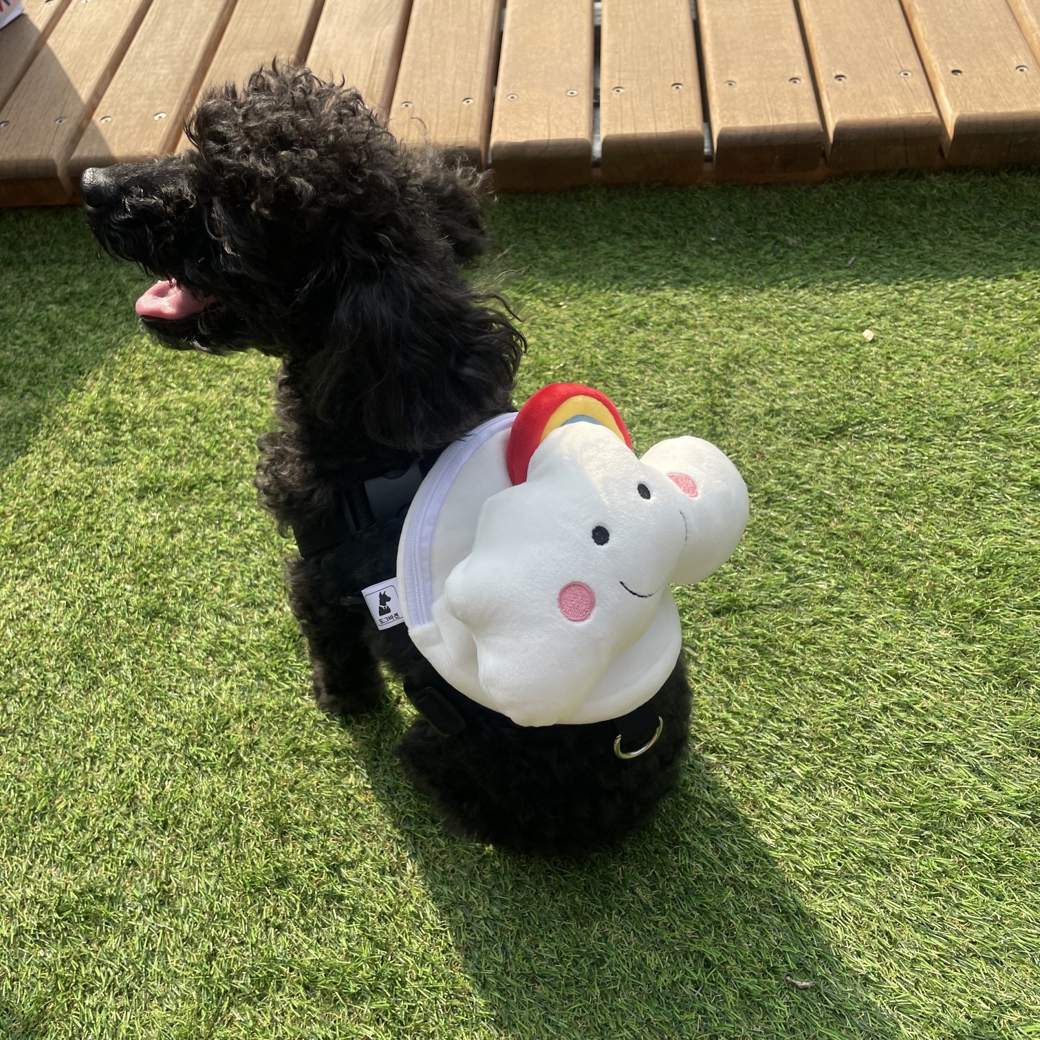 강아지 구름 하네스 가방 산책 백팩 소형견 중형견 - 상세 이미지 3