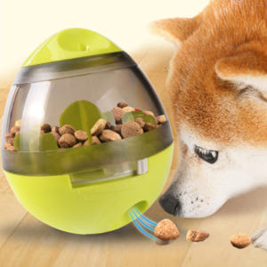 오뚝이 간식볼 그린 애견 고양이 강아지 간식 사료 장난감 노즈워크 장난감 솔직 후기 | 실제 사용자 리뷰 총정리 - 상품 이미지 1