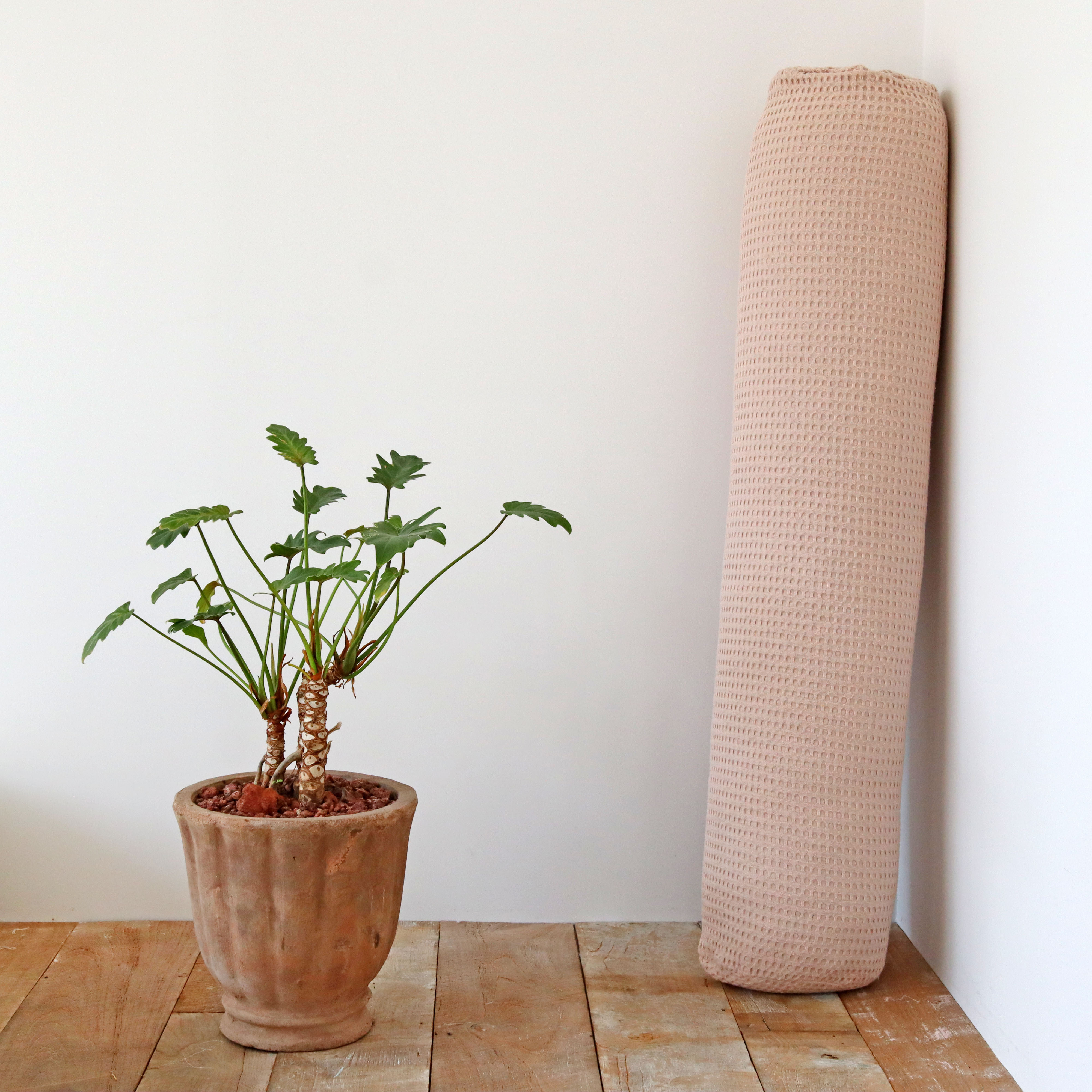 피그먼트 워싱 와플 순면 원형 롱쿠션 안고자는 다리 베개 긴베개 바디필로우 커버