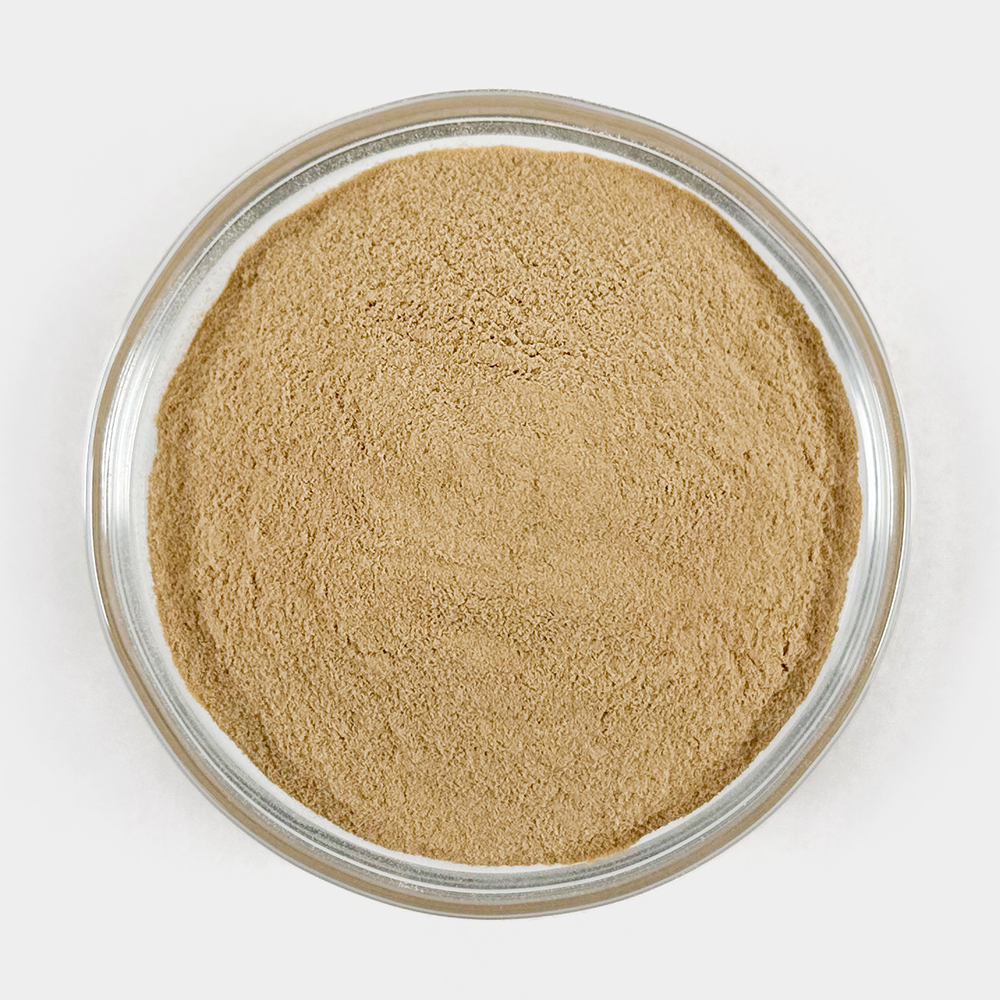 리투아니아 맥주효모 가루 분말 건조 1kg 이미지 3