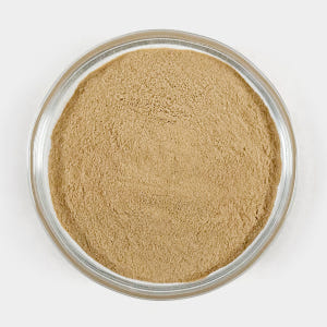 리투아니아 맥주효모 가루 분말 건조 1kg 맛있게 먹은 솔직 후기 - 상품 이미지 3