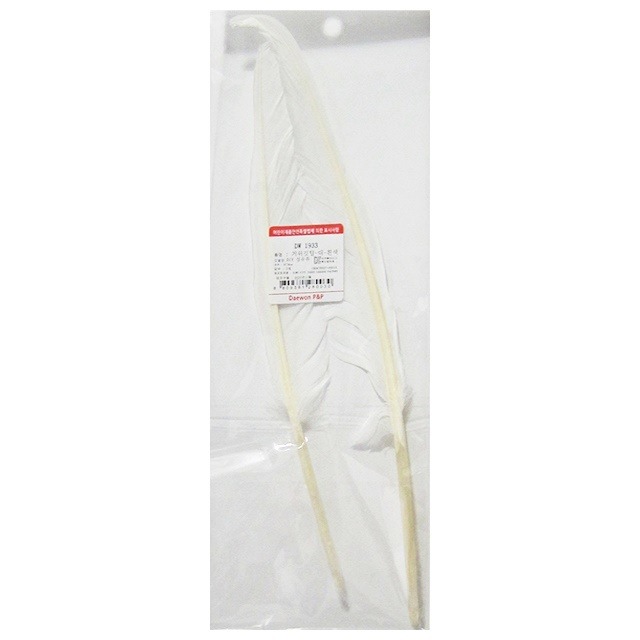 거위 깃털 대 흰색 25-30cm 새 깃털 - 메인 이미지