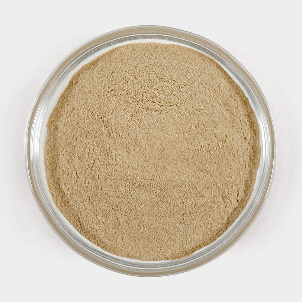 국산 맥주효모 가루 분말 건조 1kg 이미지 3