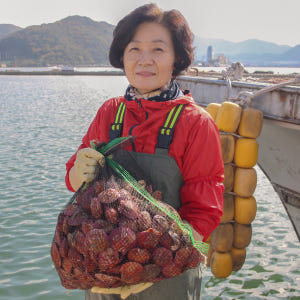 통영 제철 비단 홍 가리비 1kg 급냉 세척 선별 생물 맛있게 먹은 솔직 후기 - 상품 이미지 4