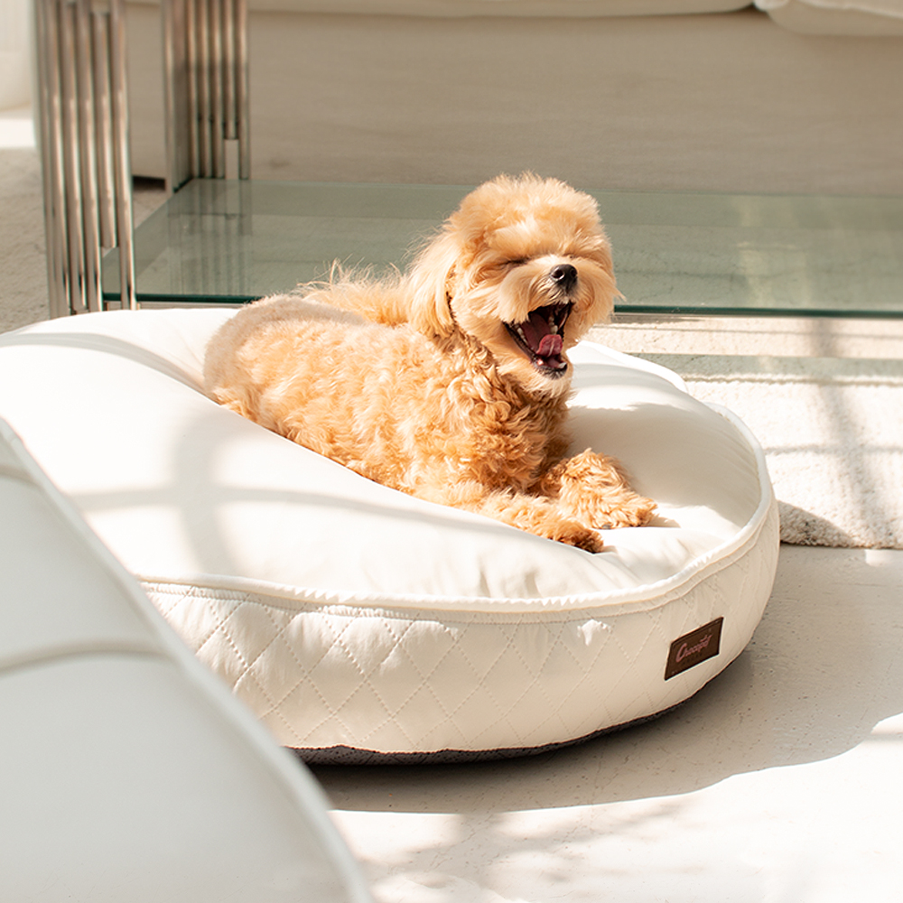 초코펫 강아지방석 쿠션 사계절 우주방석 2.0 소형