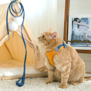 퍼플펫 고양이 하네스 가슴줄 목줄 고양이전용 산책줄 S 솔직 후기 | 실제 사용자 리뷰 총정리 - 상품 이미지 3