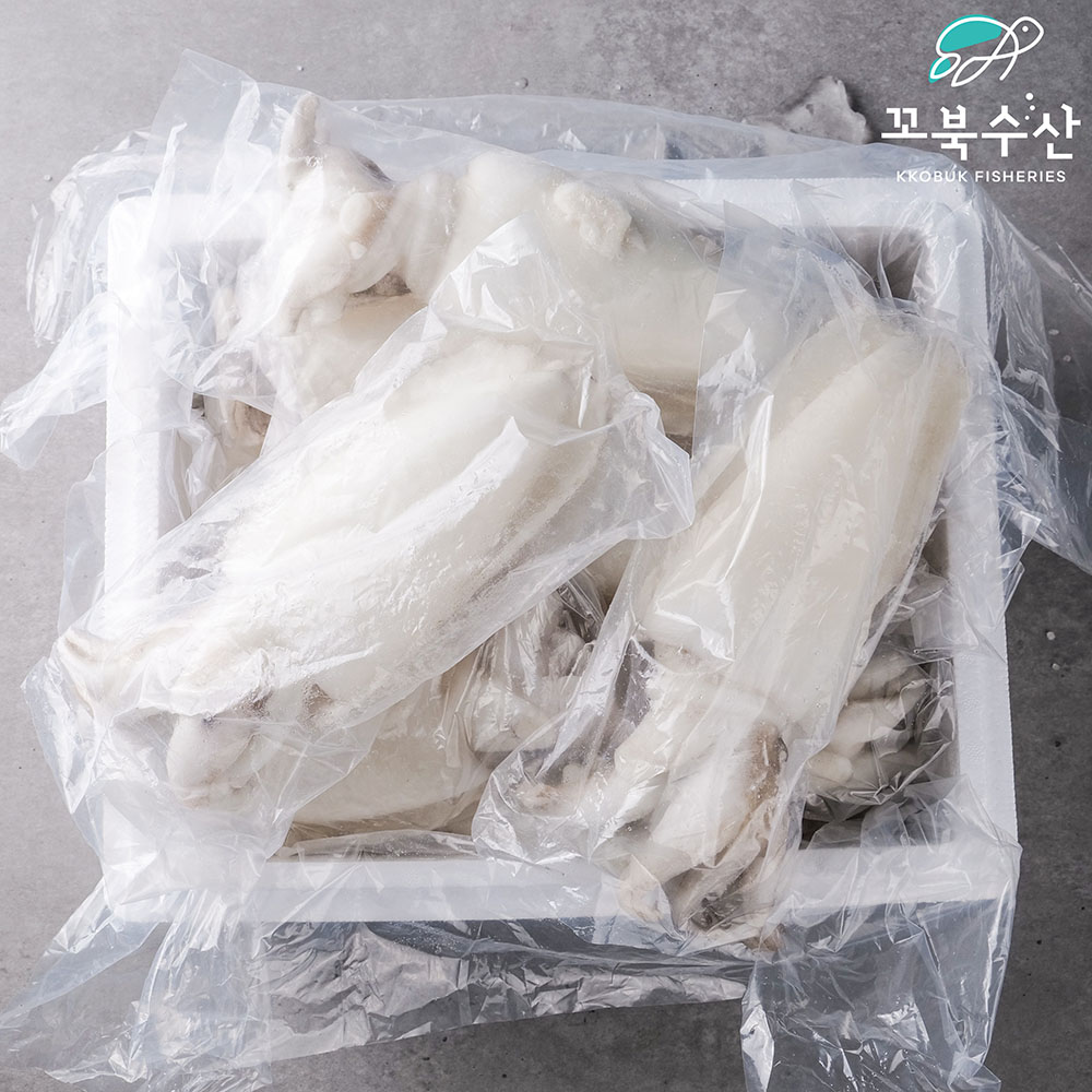 [업소용] 냉동 갑오징어 5kg 수입 태국 인도네시아 손질 오징어 - 상세 이미지 5