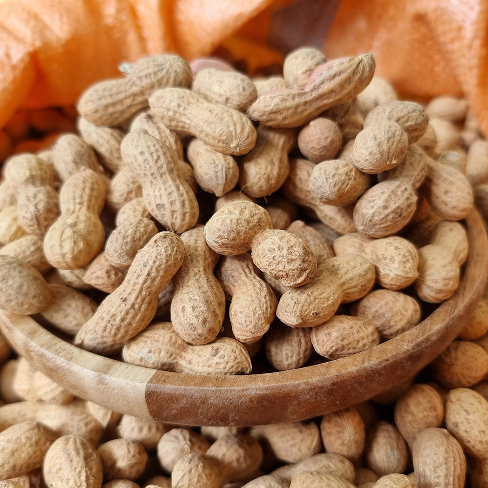껍질땅콩 피땅콩 생땅콩 깐땅콩 국산 500g 1kg - 상세 이미지 3