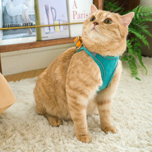 퍼플펫 고양이 하네스 가슴줄 목줄 고양이전용 산책줄 S 솔직 후기 | 실제 사용자 리뷰 총정리 - 상품 이미지 2