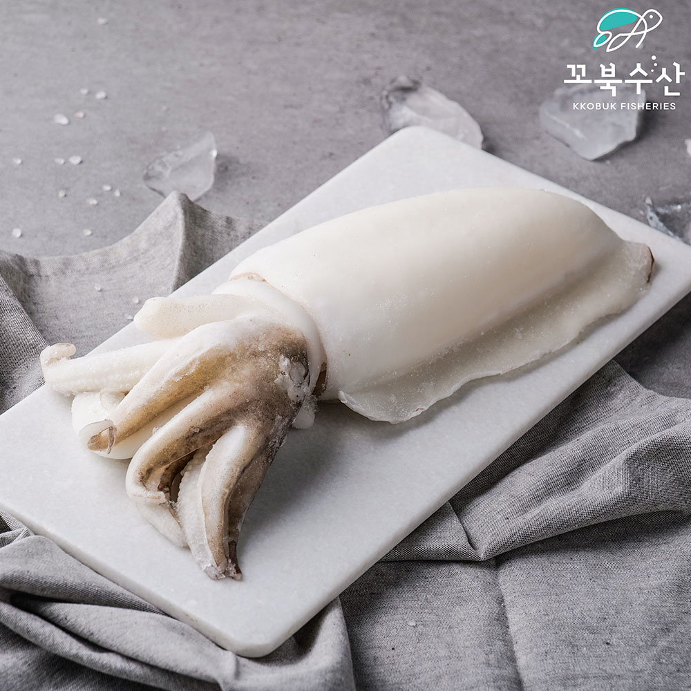 [업소용] 냉동 갑오징어 5kg 수입 태국 인도네시아 손질 오징어 - 상세 이미지 3
