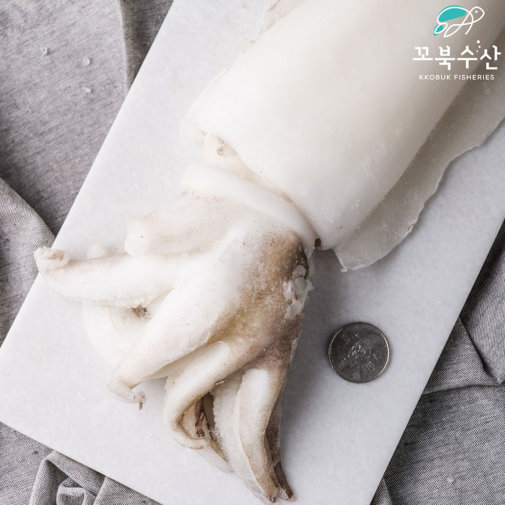 [업소용] 냉동 갑오징어 5kg 수입 태국 인도네시아 손질 오징어 - 상세 이미지 4