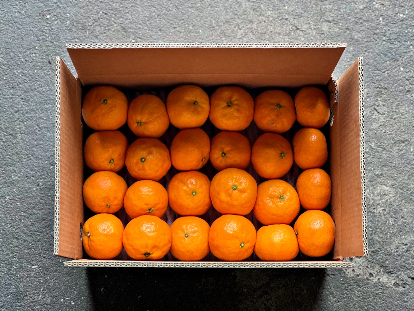 써니트한라봉 10kg 5kg 3kg 못난이 가정용 중소과 로얄과 중대과 제주 산지직송 - 상세 이미지 5