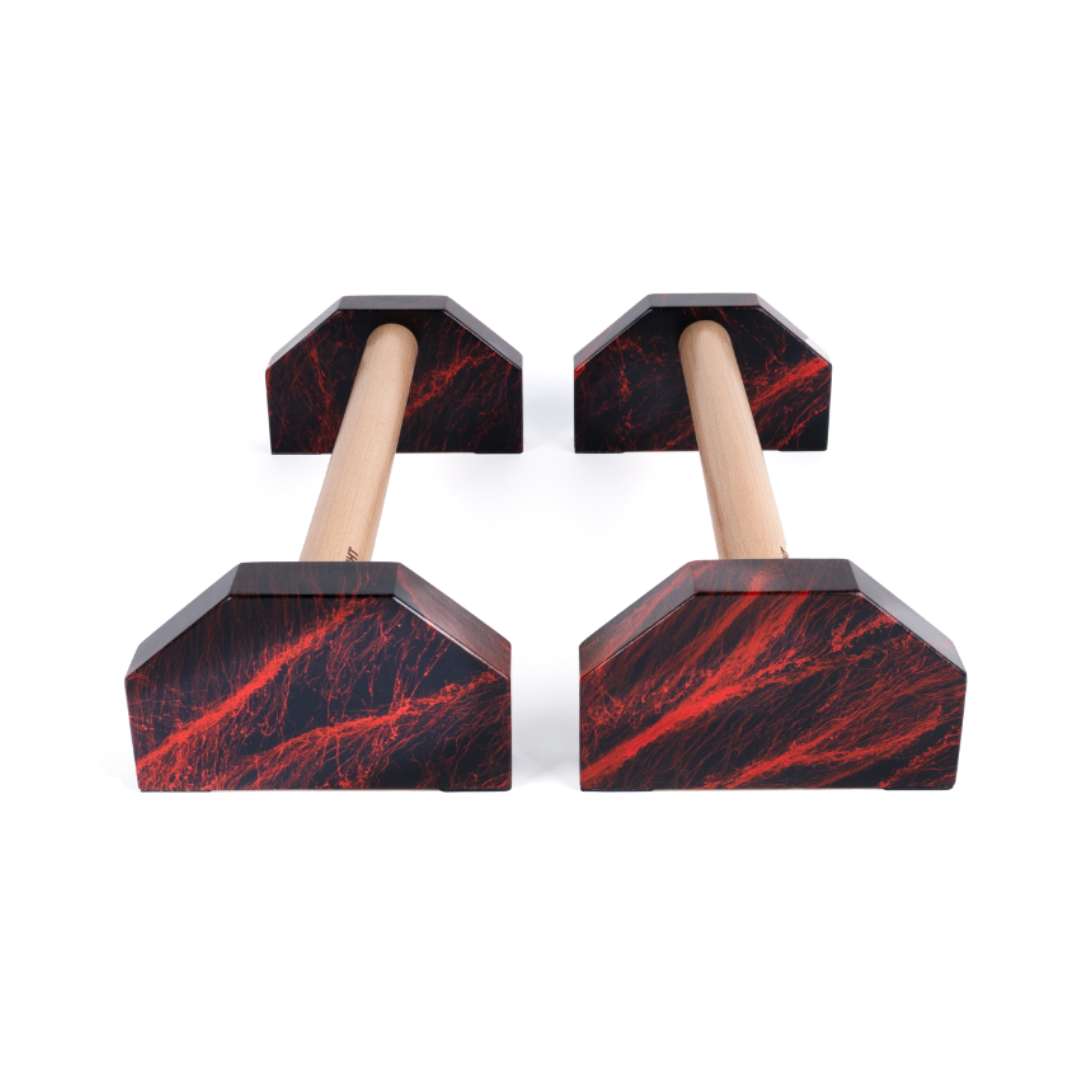 블랙베리 프로 페럴렛바 플란체바