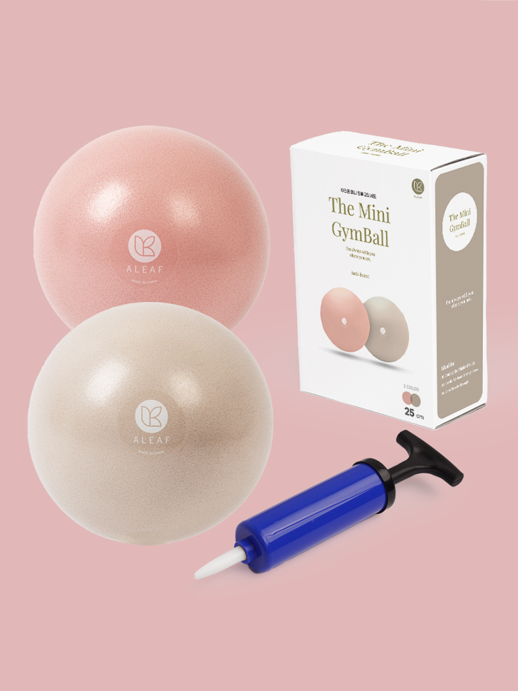아리프 안티버스트 미니 짐볼 25cm 2개 요가 필라테스