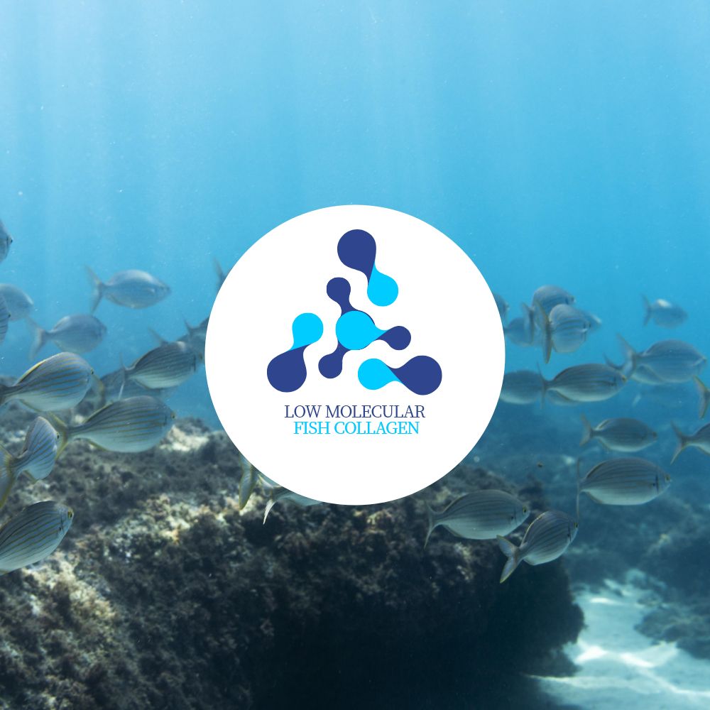 글루타치온 먹는 분말 가루 건조효모 300g 이미지 4