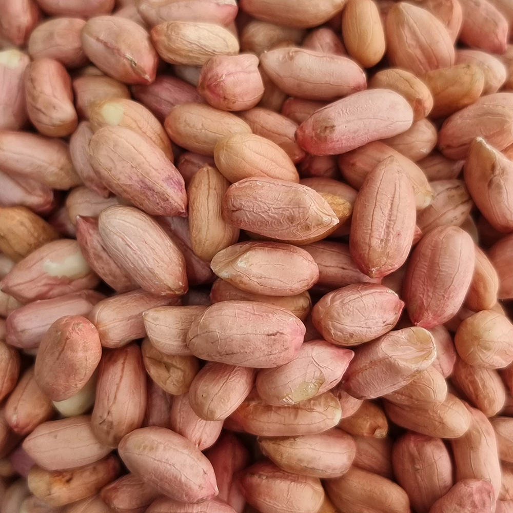 껍질땅콩 피땅콩 생땅콩 깐땅콩 국산 500g 1kg - 상세 이미지 2