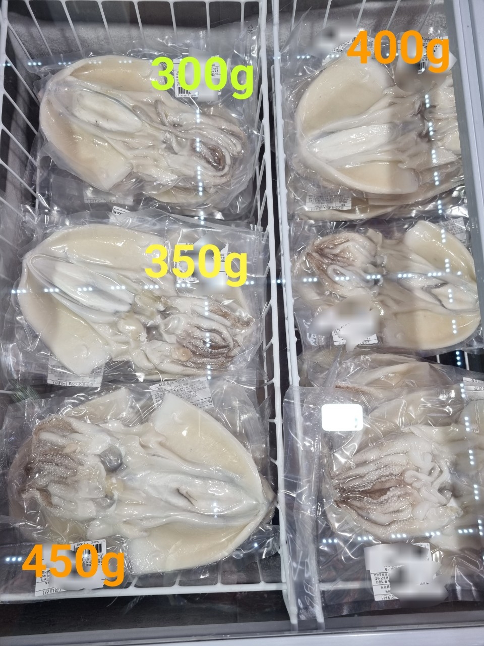국내산 손질 자연산 활 생물 갑오징어 손질해서 1마리 진공포장 - 상세 이미지 3