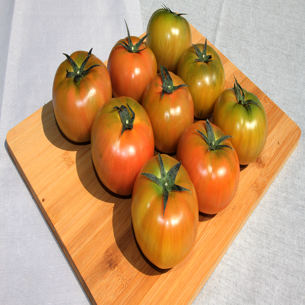 창녕 찰토마토 5kg - 상세 이미지 5