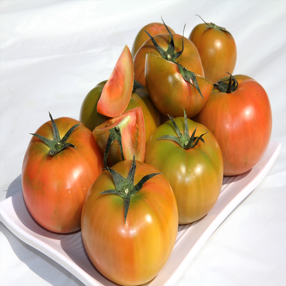창녕 찰토마토 5kg - 상세 이미지 4