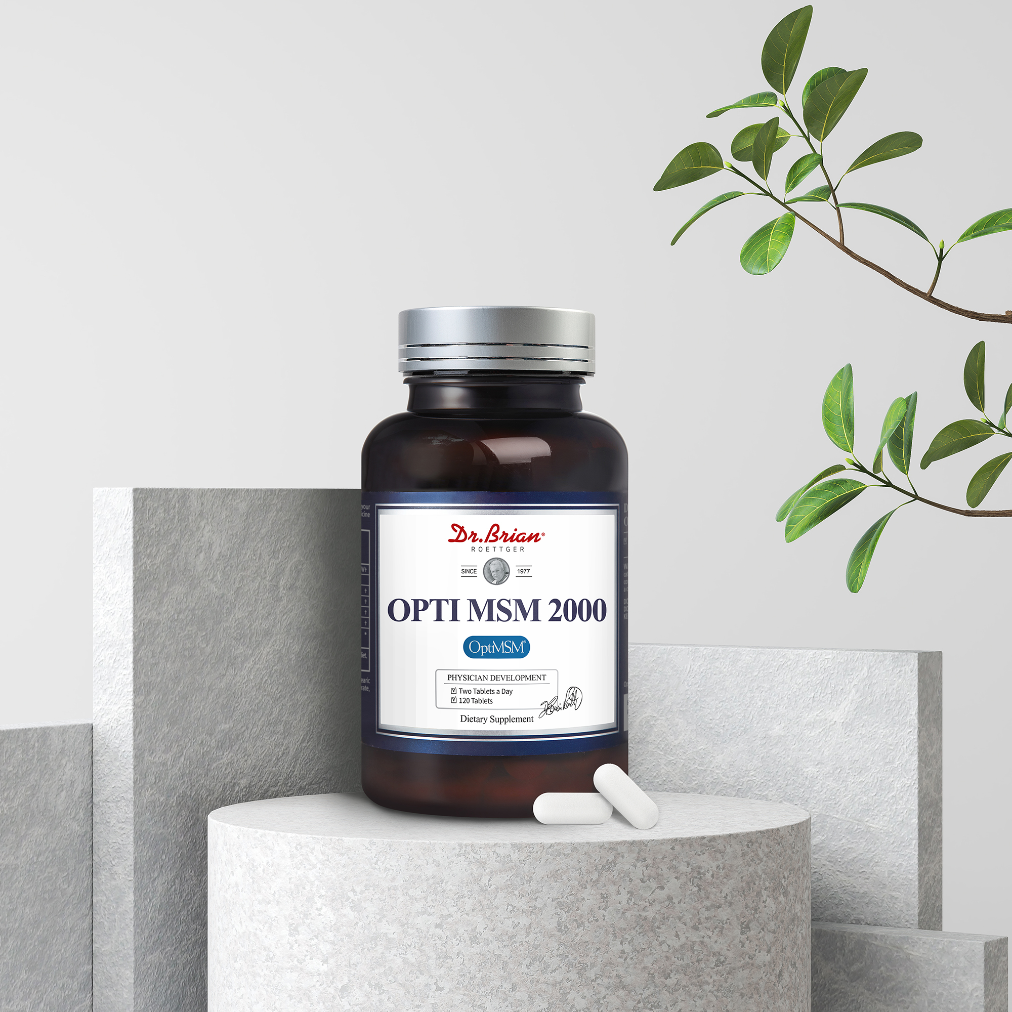 [2개월분] 닥터브라이언 옵티 엠에스엠 MSM 2000 관절 연골 건강 120정, 1개 이미지 2