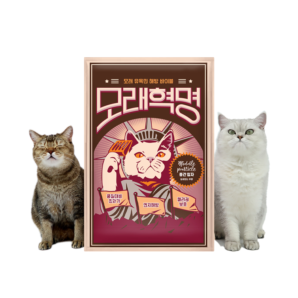 모래혁명 중간 입자 무향 고양이 벤토나이트 모래 6kg, 3개 - 상세 이미지 3