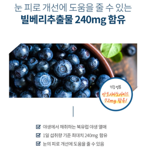 닥터브라이언 빌베리 루테인 비타민A 마리골드꽃 눈 건강 피로 영양 효능 60캡슐, 1개 이미지 2