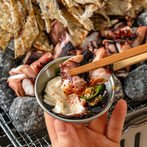 백년밥상 맥반석 오징어 건어물 밀키트 캠핑음식 요리 맛있게 먹은 솔직 후기 - 상품 이미지 4