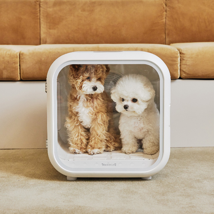 개과천선 애견 강아지 고양이 펫 드라이룸 목욕 드라이기 건조기 털말리기 소형견 7kg