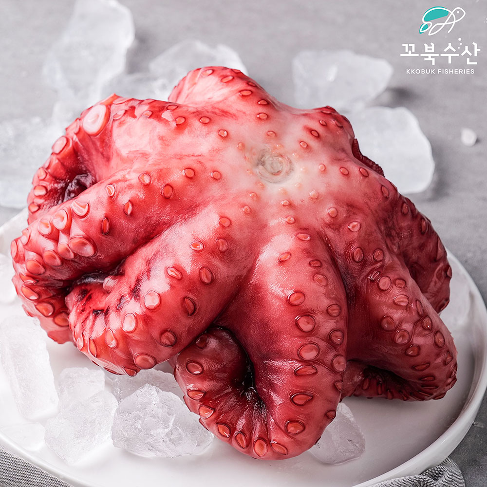 [업소용10kg] 자숙 문어 숙회 수입 냉동 삶은문어 타코야끼