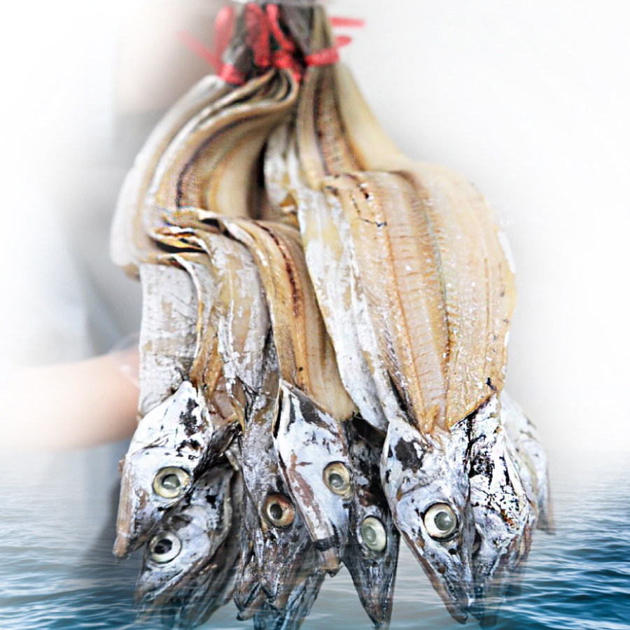 남해안 반건조 마른 풀치 먹갈치 갈치새끼 자연건조 16마리