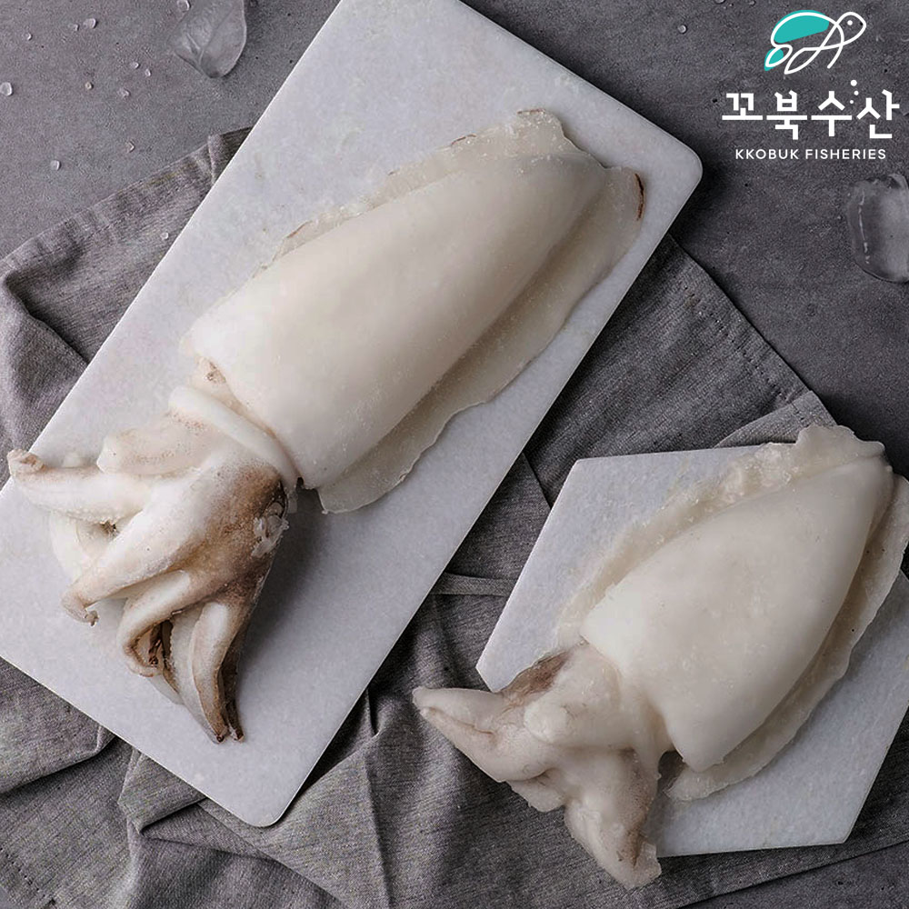 [업소용] 냉동 갑오징어 5kg 수입 태국 인도네시아 손질 오징어 - 상세 이미지 2
