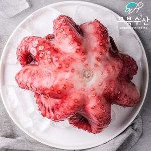 자숙 문어 업소용 10kg 수입 냉동 삶은 문어 타코야끼 필리핀 모리타니... 맛있게 먹은 솔직 후기 - 상품 이미지 2