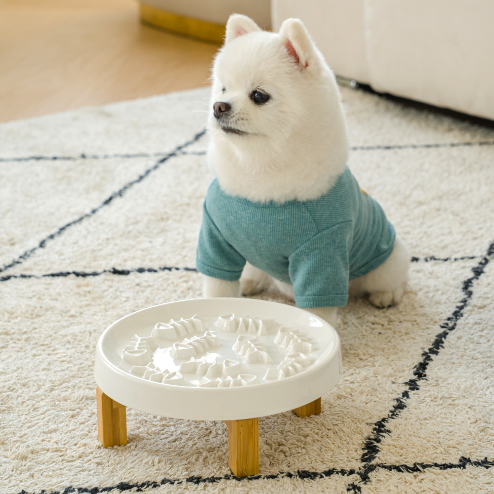 고양이 슬로우식기 강아지 급체방지 식기 밥그릇 식탁 세라믹