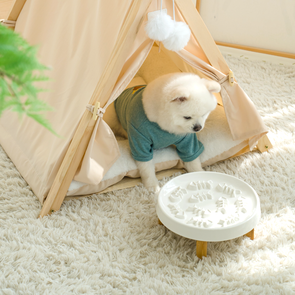 고양이 슬로우식기 강아지 급체방지 식기 밥그릇 식탁 세라믹