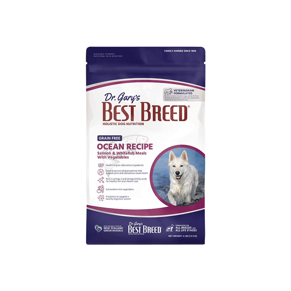 베스트브리드 오션 그레인프리 연어, 1.8kg, 1개