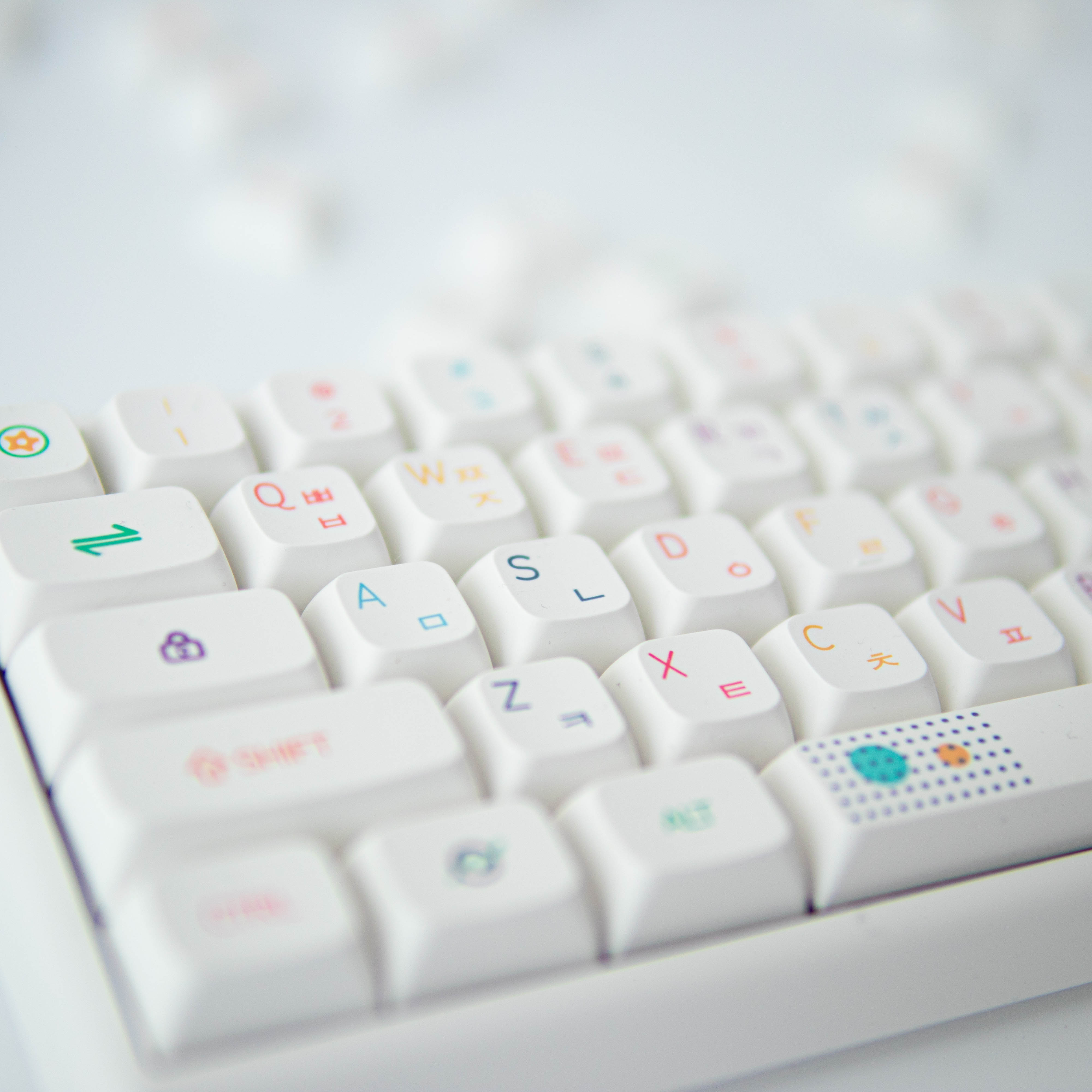 기계식 키보드 키캡 추천 XDA 키캡 PBT 키캡 독거미 키캡