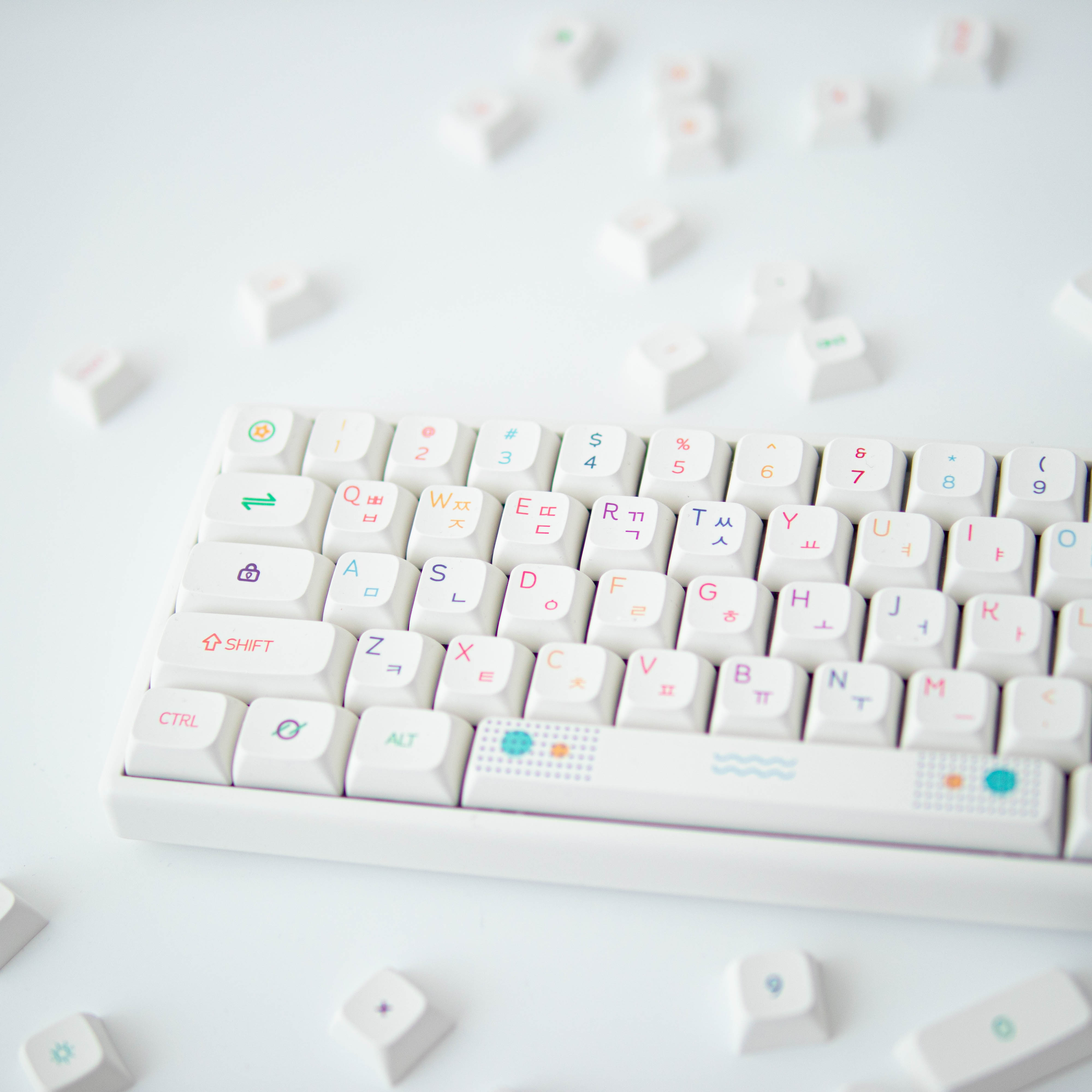 기계식 키보드 키캡 추천 XDA 키캡 PBT 키캡 독거미 키캡
