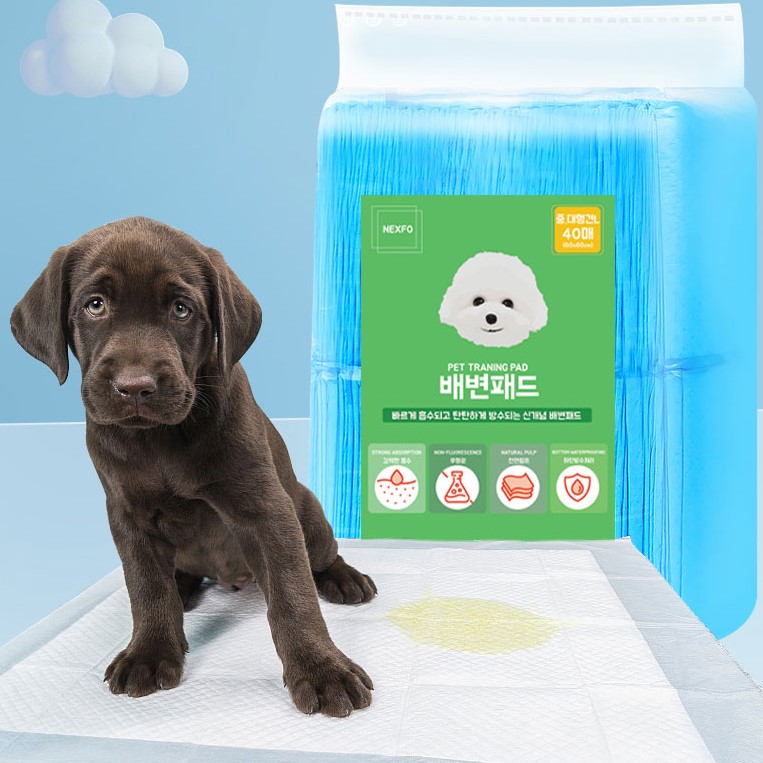 배변패드 애견 코스트코 무색소 강아지 보급형 100매 - 상세 이미지 2