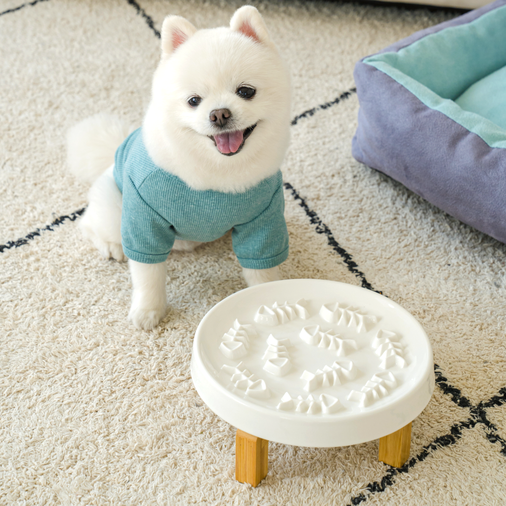 고양이 슬로우식기 강아지 급체방지 식기 밥그릇 식탁 세라믹