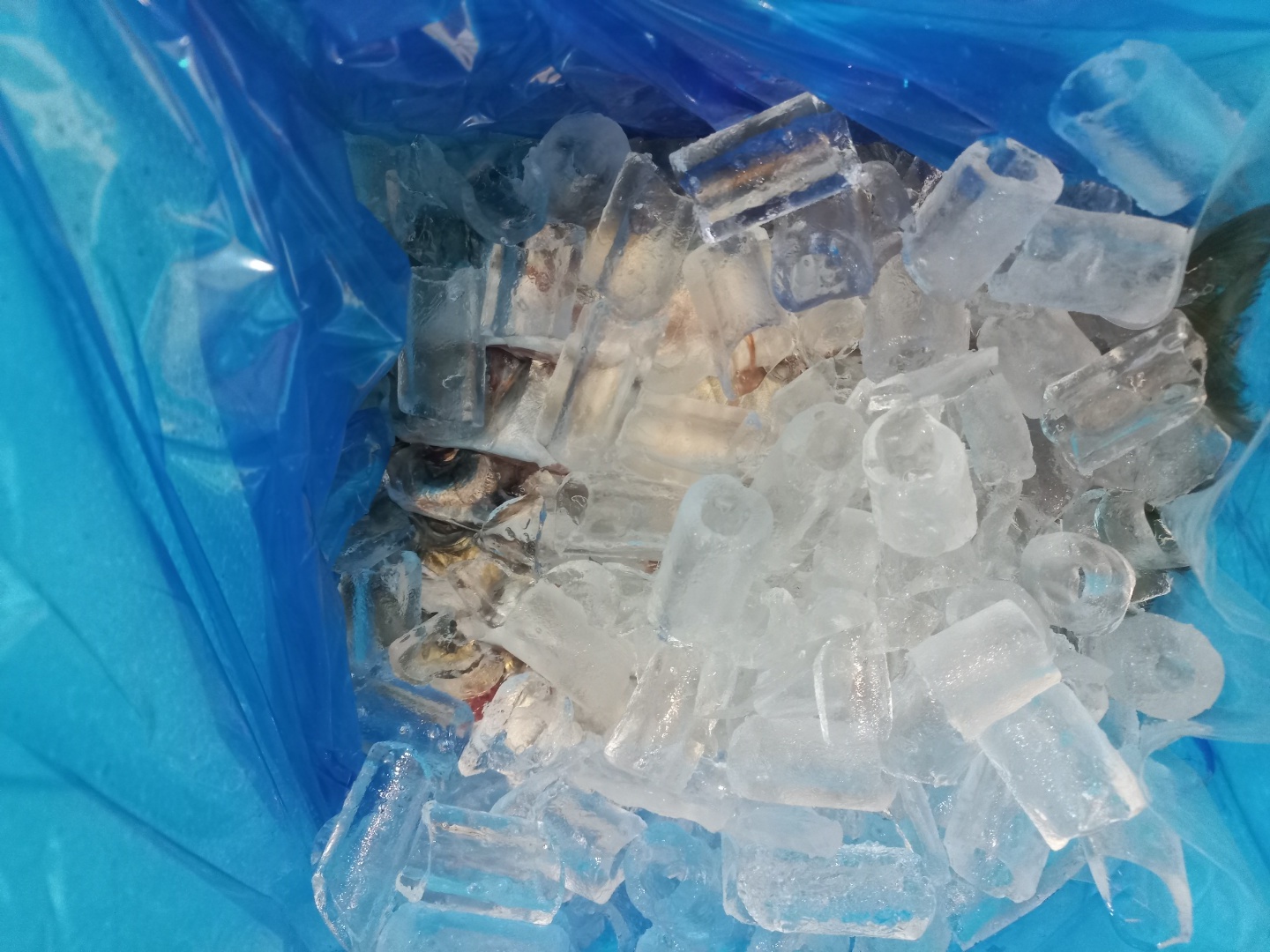 국내산 자연산 통영 생물 냉동 생선 구이 구이용 산지직송 메가리 조림 급냉 손질 전갱이 - 상세 이미지 5