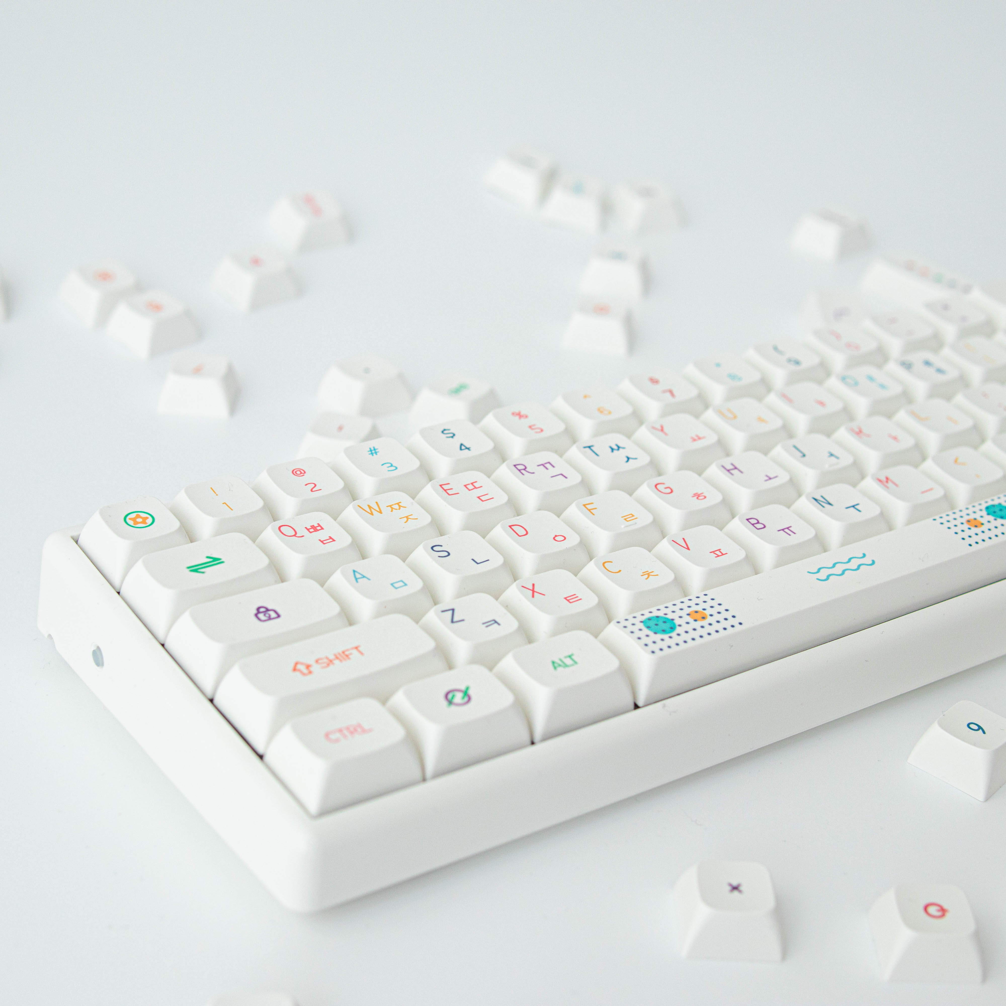 기계식 키보드 키캡 추천 XDA 키캡 PBT 키캡 독거미 키캡