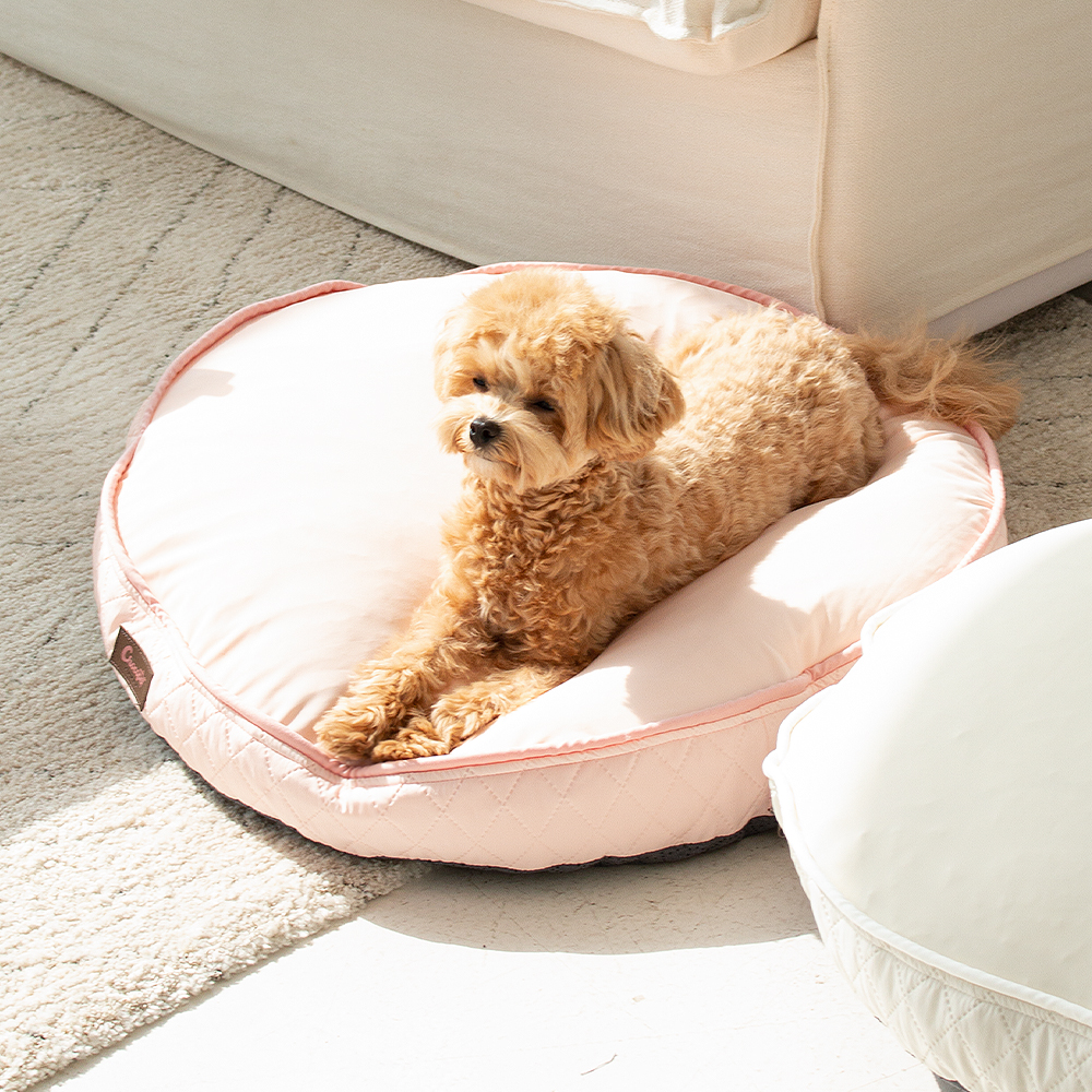 초코펫 강아지방석 쿠션 사계절 우주방석 2.0 소형