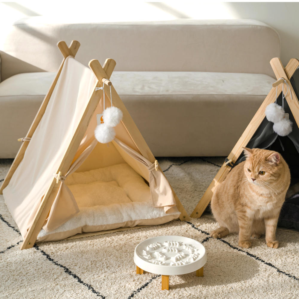 퍼플펫 원목 강아지 하우스 고양이 숨숨집 텐트 침대 애견 집 업그레이드버전