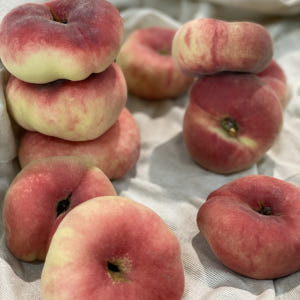 복숭아 신비복숭아 납작복숭아 하우스 대극천 거반도 빅숭아 천도 신선 백도... 맛있게 먹은 솔직 후기 - 상품 이미지 2