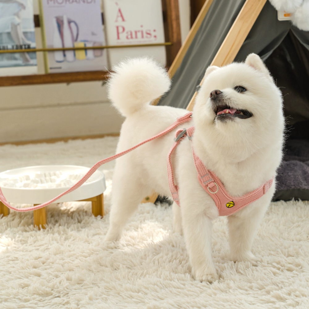 퍼플펫 강아지 하네스 가슴줄 소형견 앞섬방지 파스텔하네스