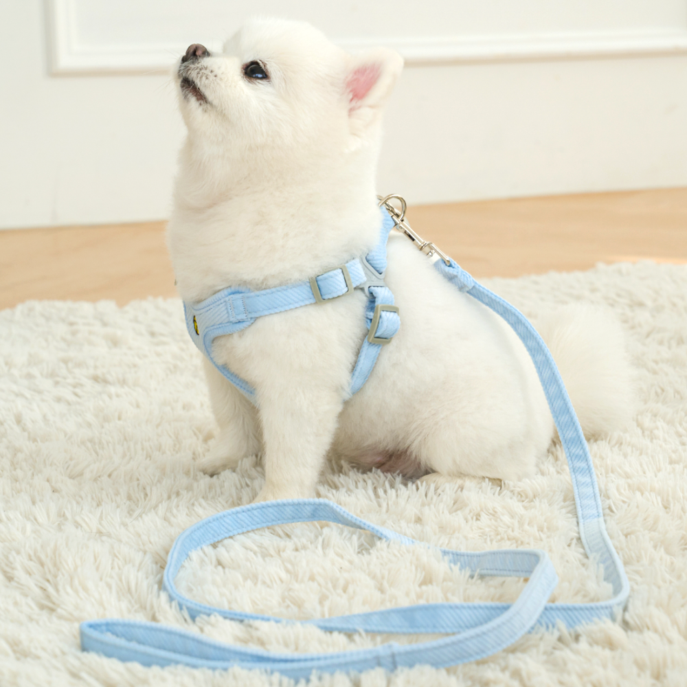 퍼플펫 강아지 하네스 가슴줄 소형견 앞섬방지 파스텔하네스