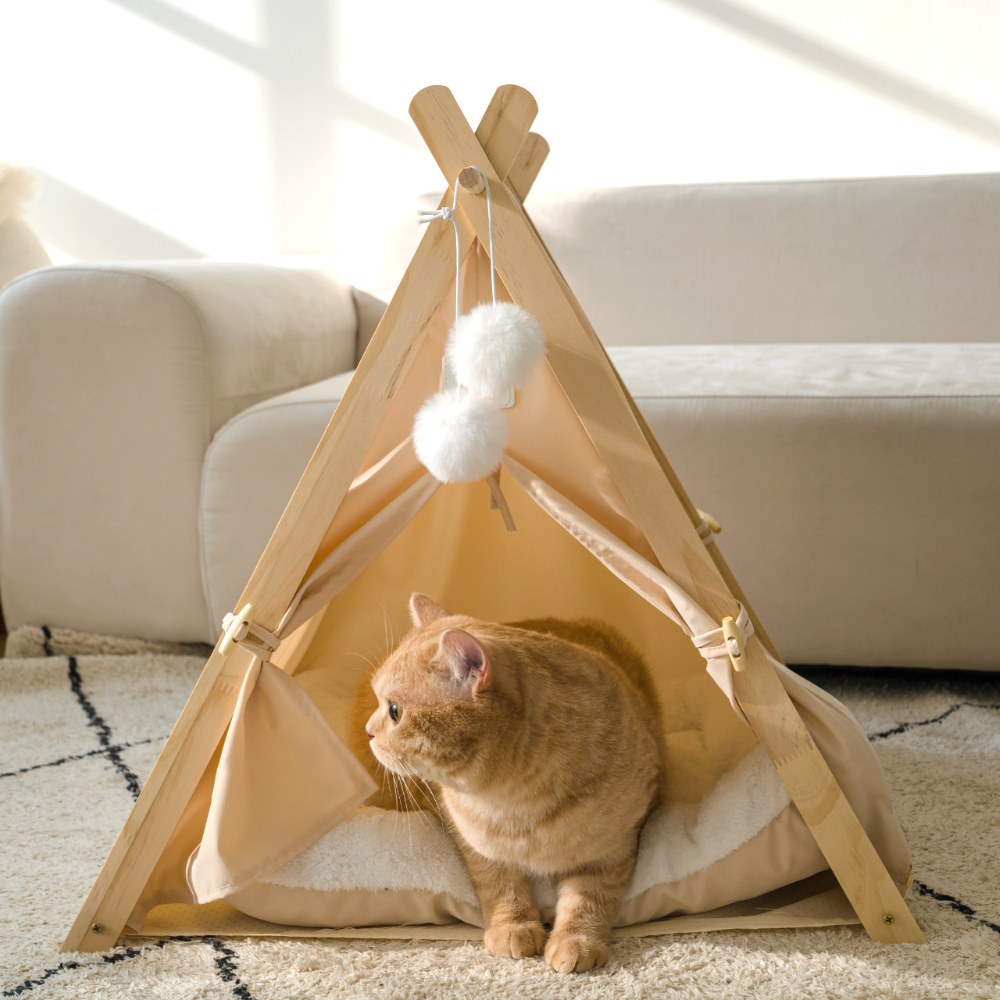 퍼플펫 원목 강아지 하우스 고양이 숨숨집 텐트 침대 애견 집 업그레이드버전