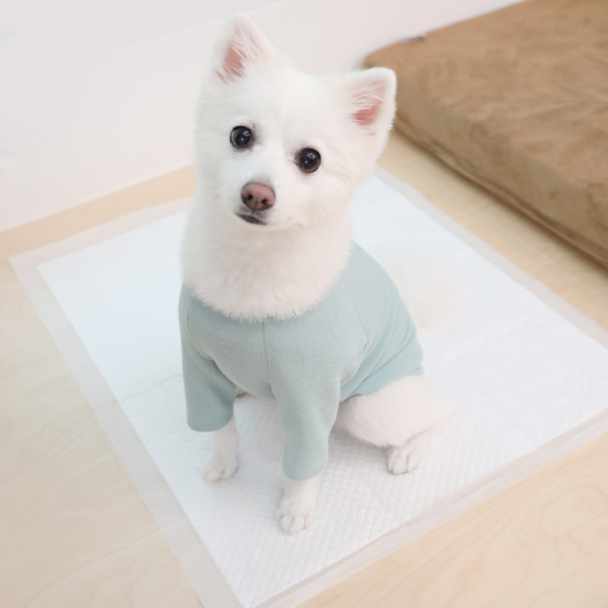 페츠모아(천연펄프) 요술배변패드 프리미엄 엣지 강아지 배변패드 표준형 중형, 100매입, 3개 사진 4