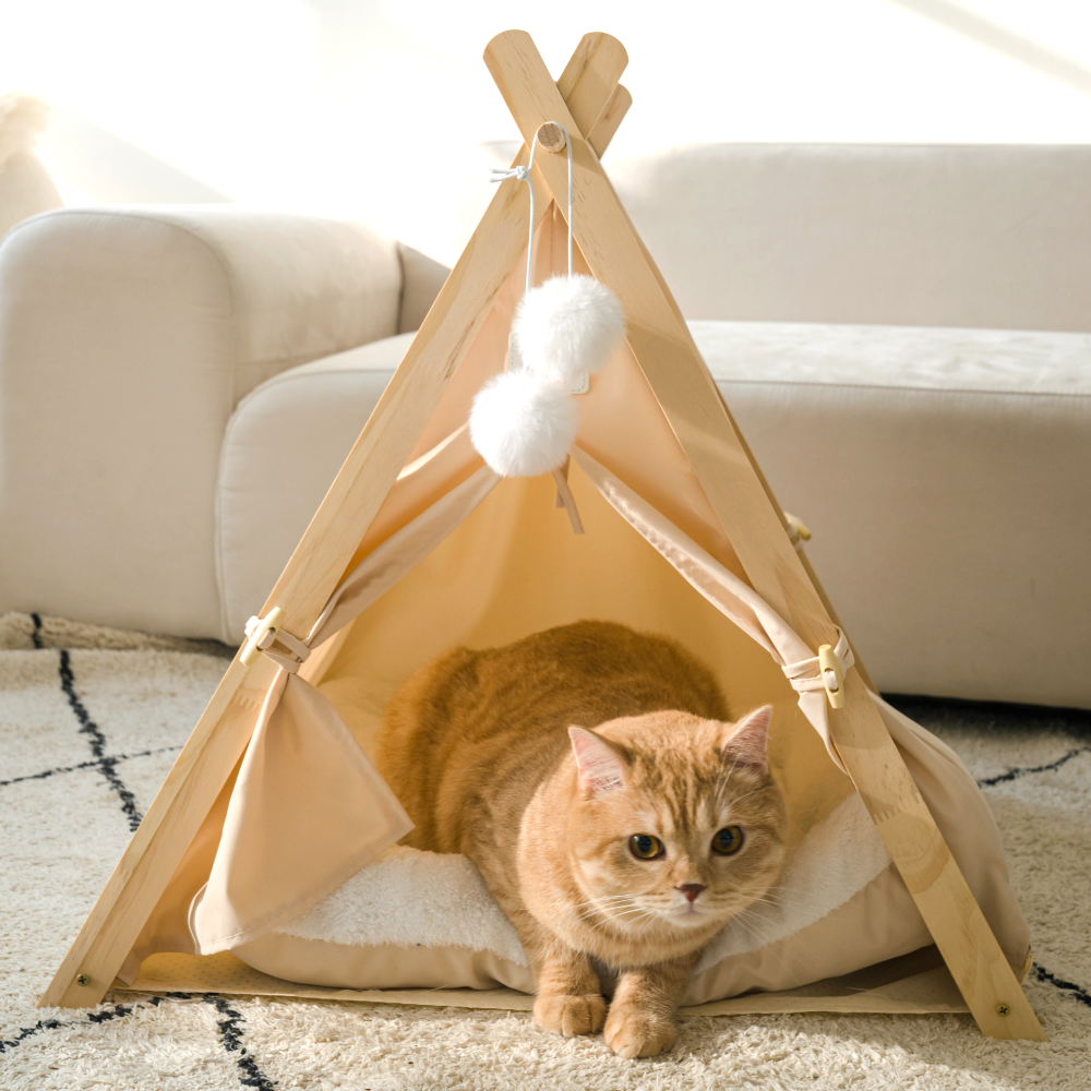 퍼플펫 원목 강아지 하우스 고양이 숨숨집 텐트 침대 애견 집 업그레이드버전