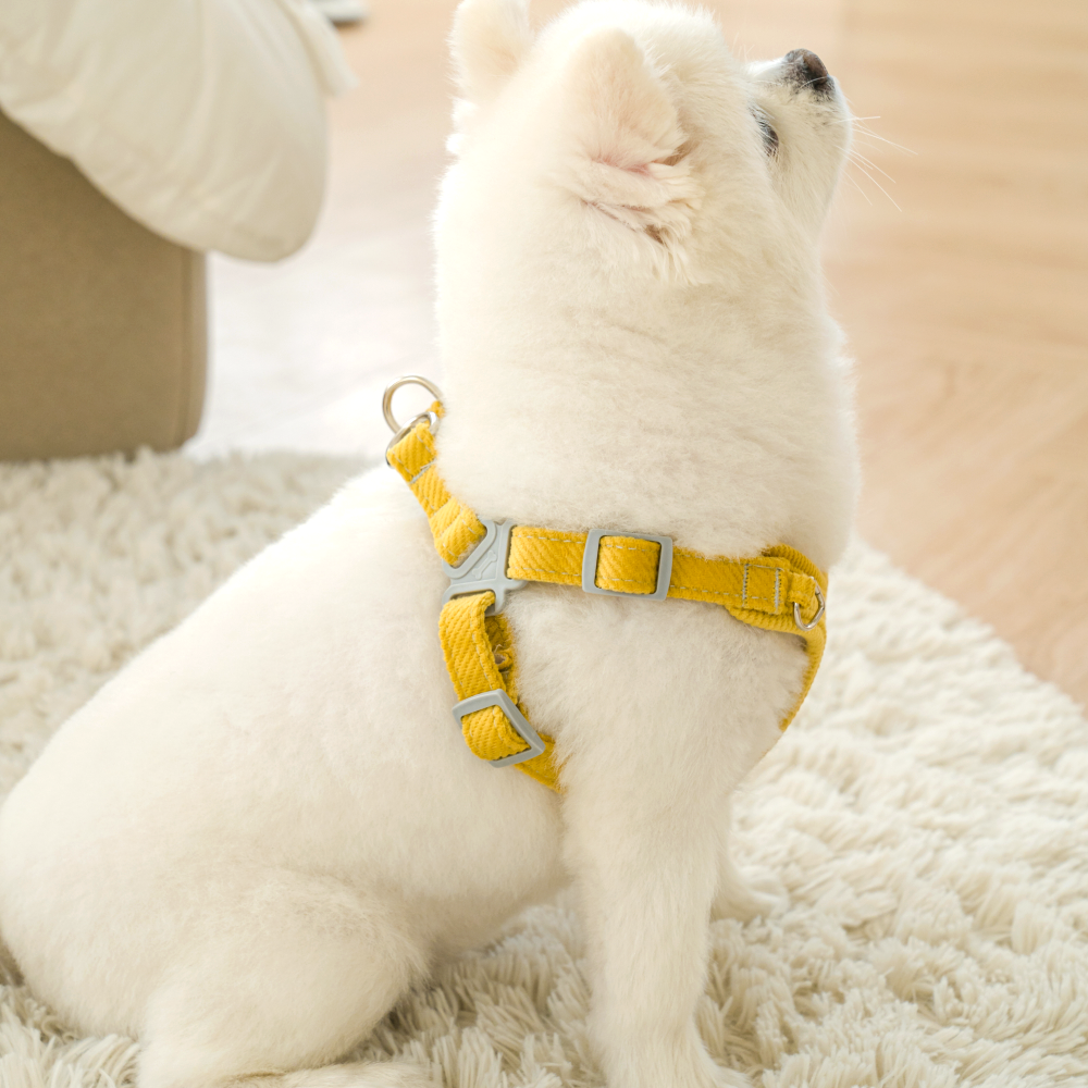 퍼플펫 강아지 하네스 가슴줄 소형견 앞섬방지 파스텔하네스